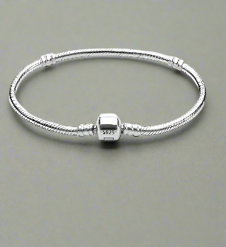 Silver Snake Mode Bracelet