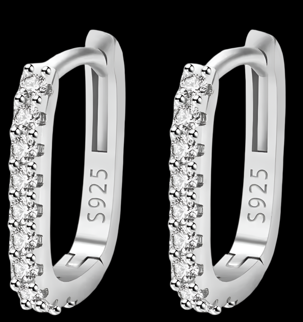 Silver Sterling Earrings