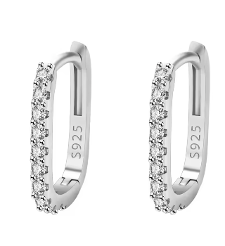 Silver Sterling Earrings